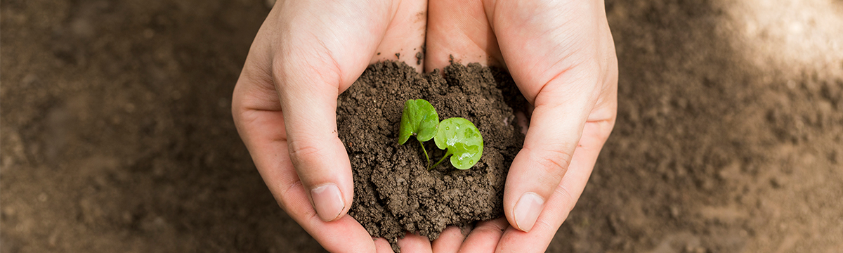 人(rén)才理(lǐ)念